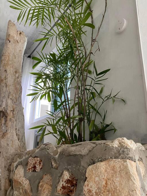 Sheerness Forever Beach Apartment מראה חיצוני תמונה